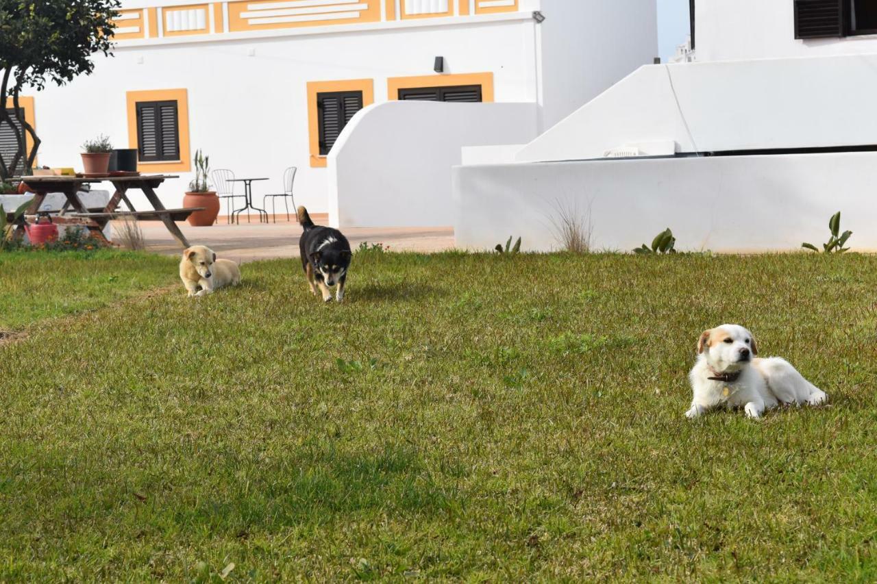 Quinta David Villa Alvor Luaran gambar