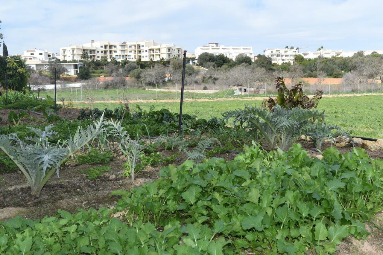 Quinta David Villa Alvor Luaran gambar